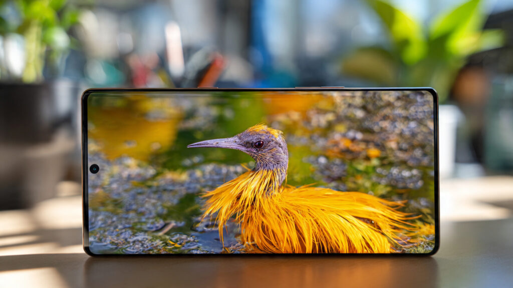 Samsung Galaxy S25 Ultra QHD+ LTPO display showing vivid HDR visuals