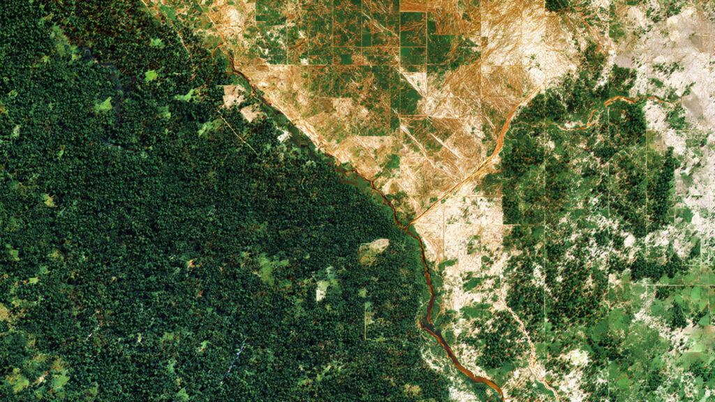 Deforestation observed by Earth-monitoring satellite.